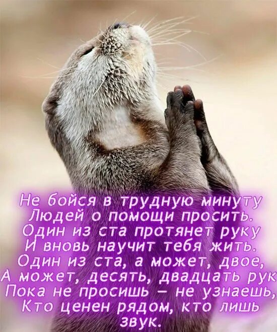 Поддержать подругу в трудную минуту по переписке. Стихи поддержки. поддерживающие стихи в трудную минуту. стихи поддержки в трудную минуту. открытка поддержка в трудную.