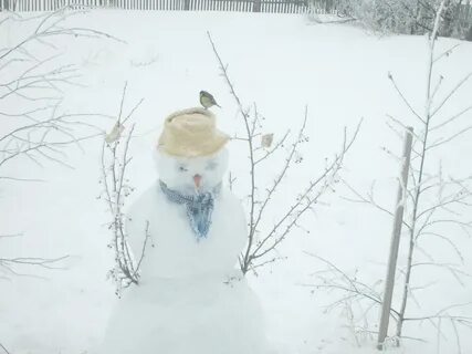 Время альфы пришло