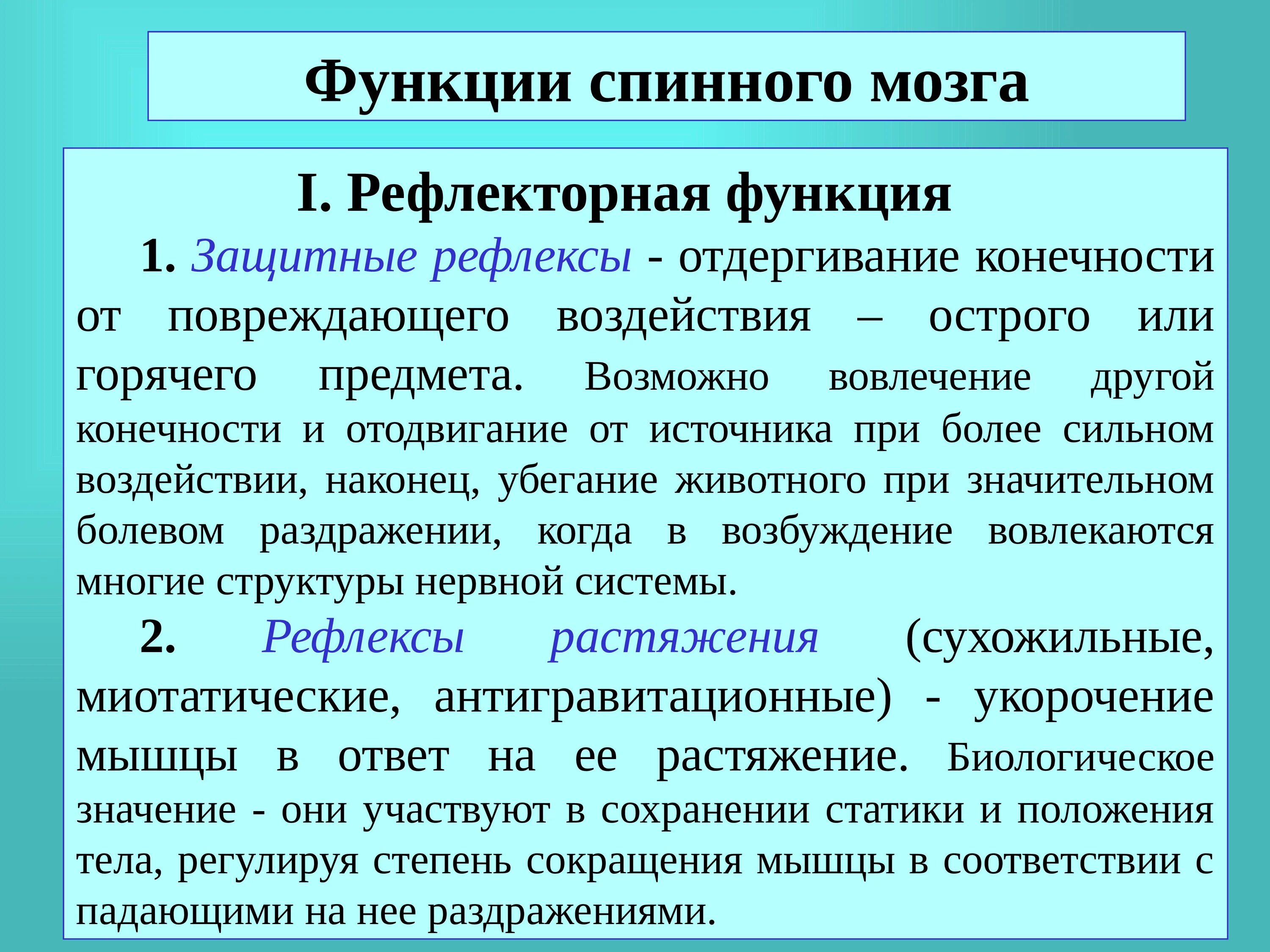 Рефлекторная деятельность спинного мозга. Защитная функция спинного мозга. Защитные рефлексы спинного мозга. Защитные рефлексы функции.