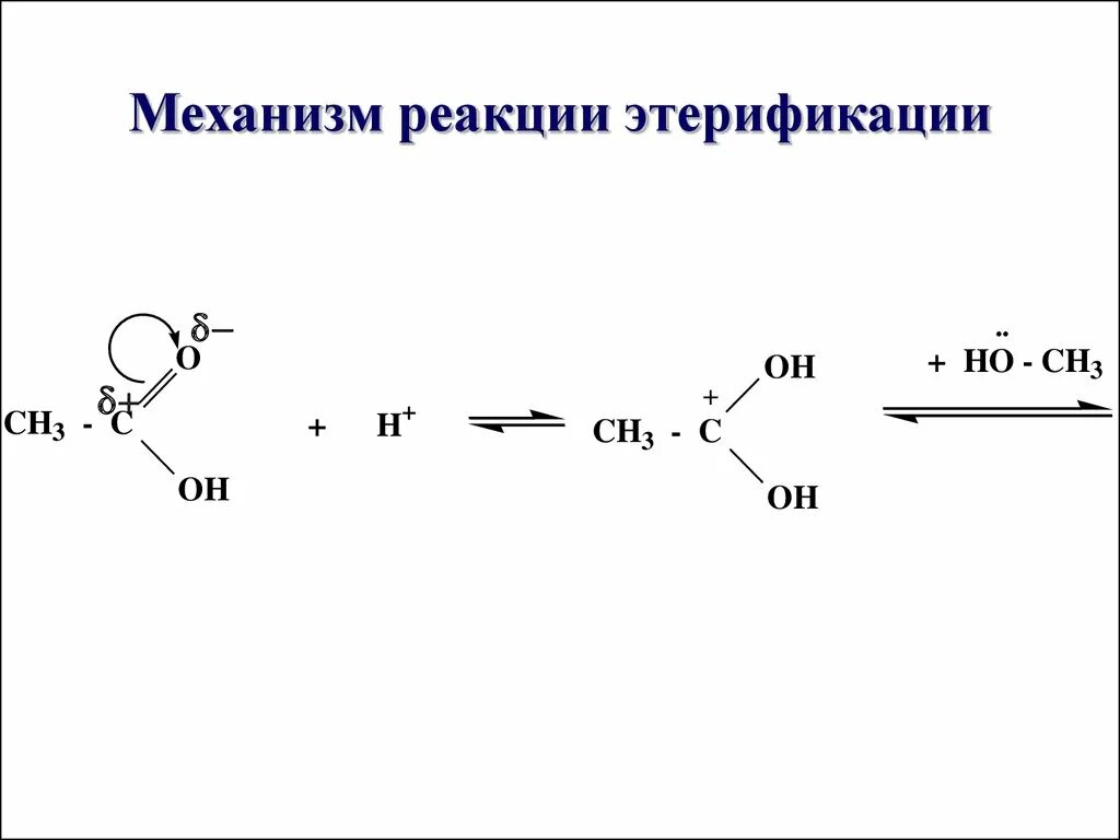 Синтез этилацетата. Механизм реакции этерификации карбоновых кислот. Механизм реакции этерификации карбоновых. Механизм этерификации карбоновых кислот. Реакция этерификации механизм нуклеофильного замещения.