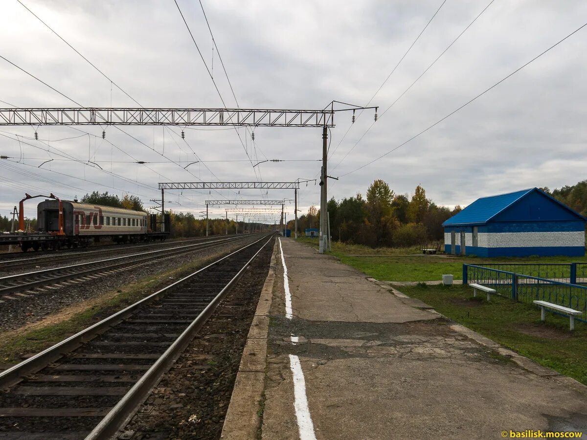 Мильковское сельское поселение. Станция сия. Посёлок луковецкий архангельская область. Симский кордон. Станция сия.