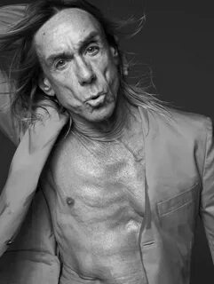 Iggy pop википедия