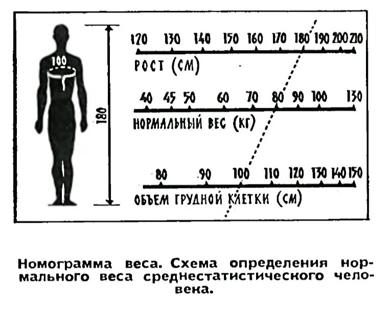 Индекс площади тела. Номограмма для определения нормальной массы тела. номограмма для определения веса. номограмма идеальная масса. номограмма роста и веса.
