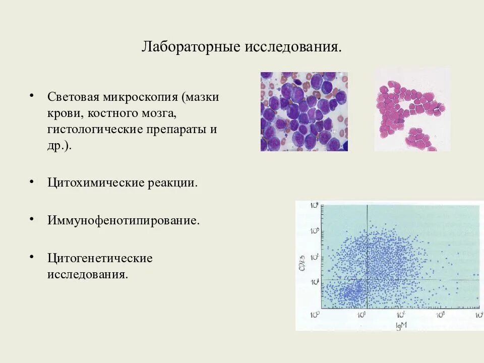 Мазок крови при выявлении патологии что это. Микроскопическое исследование мазка крови. Микроскопическое исследование тонкого мазка крови. Мазок крови в световом микроскопе. Микроскопический анализ мазка крови.