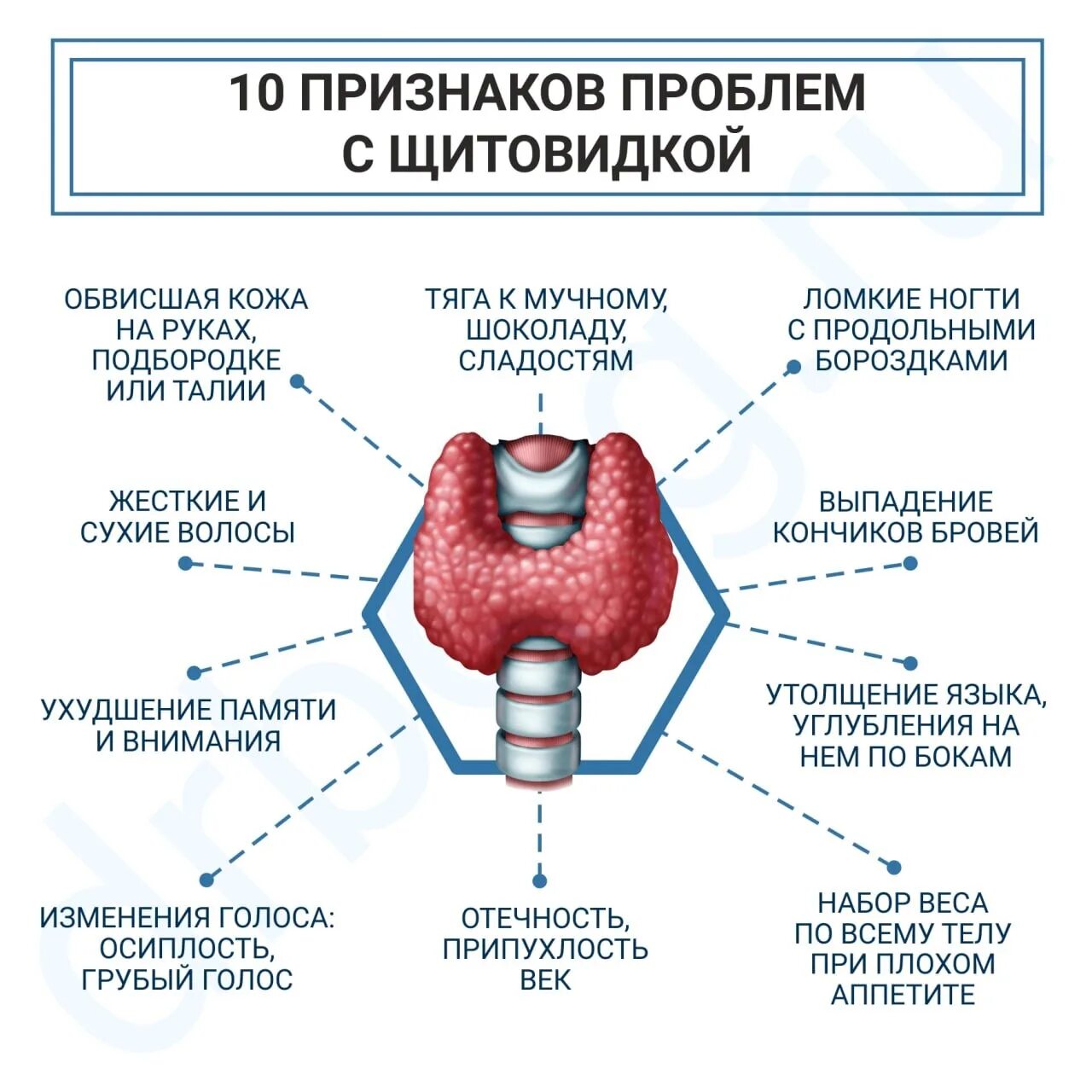 Можно ли с проблемами щитовидной. Что регулируется щитовидной железой. Проблемы с щитовидкой симптомы. Признаки проблем с щитовидкой.