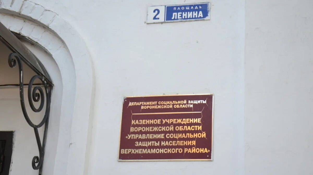 Социальная поддержка граждан воронежская область. Социальная поддержка граждан воронежская область. Эмблема социальной защиты. Информация для населения. Социальная поддержка граждан воронежская область.
