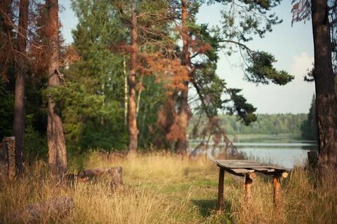 Кубань кострома