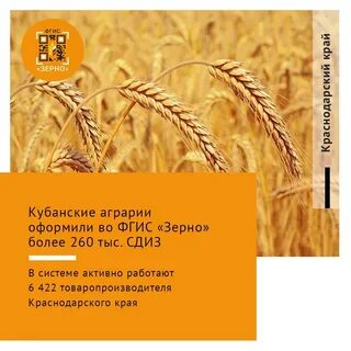 Зерно фгис работа инструкции