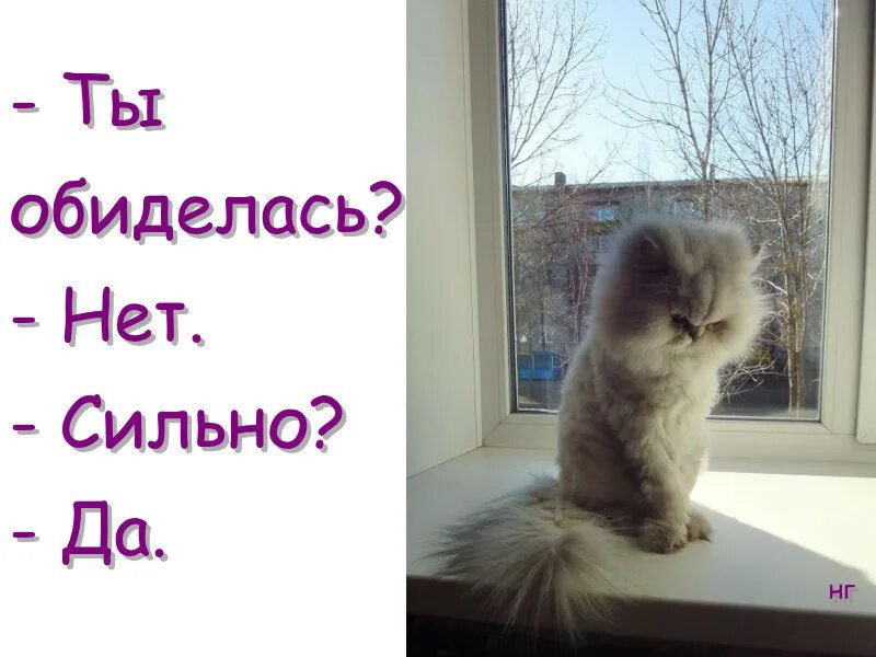 Все не буду. Обиделась сильно. Я обиделась картинки. Открытка обиделась. Открытка я обиделась.