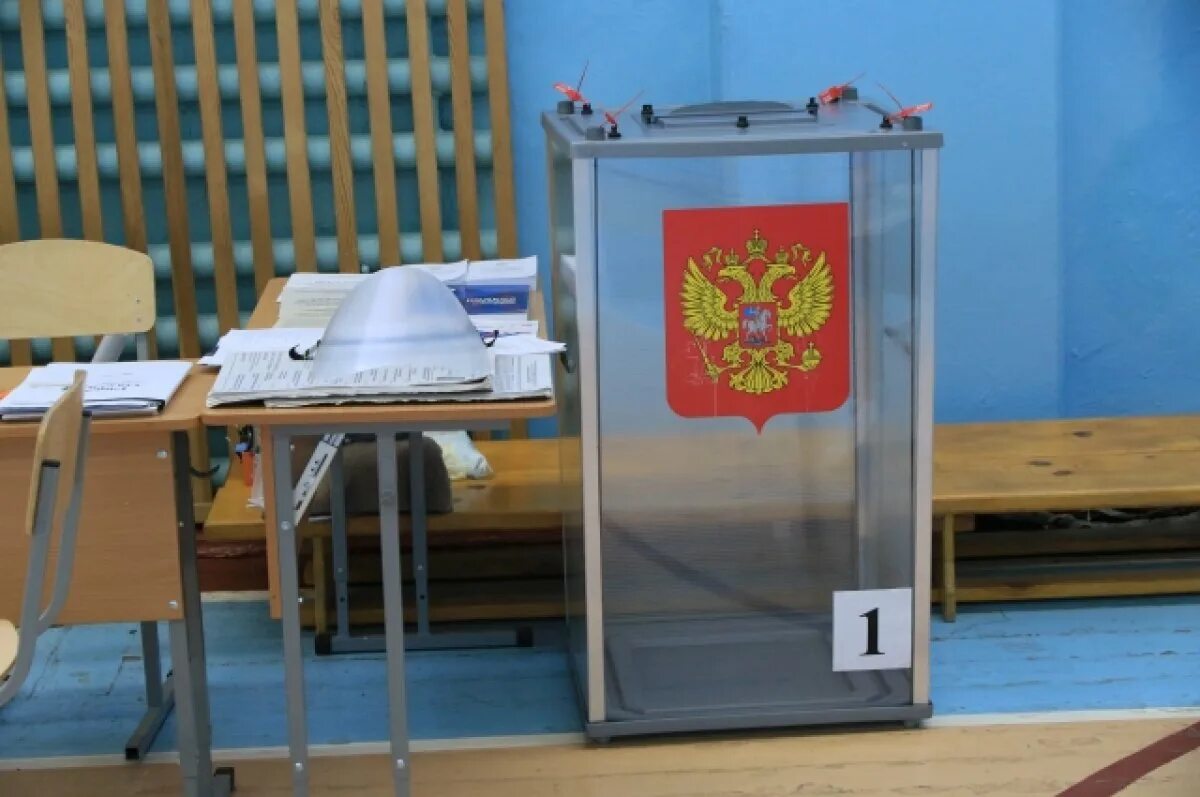 Выборы портал. Выборы. выборы губернатора. выборы в россии. голосование выборы.