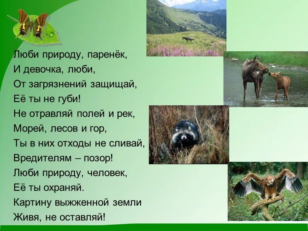 Охрана природы в нашем крае 4 класс. Презентация по охране природы. Презентация на тему природа. Охрана природы презентация. Охрана природы в нашем крае.