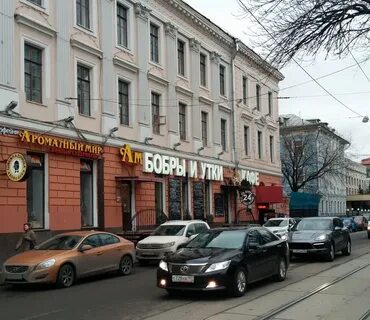 Бобры и утки