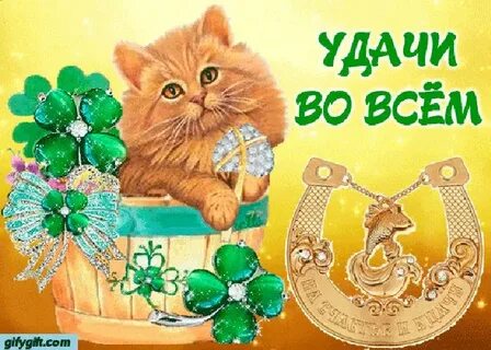 Удачи тебе любимый в делах