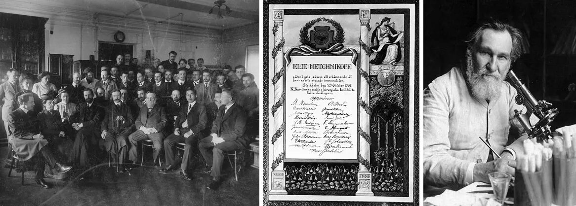 Мечников Нобелевская премия 1908. Съезд врачей естествоиспытателей 1883.