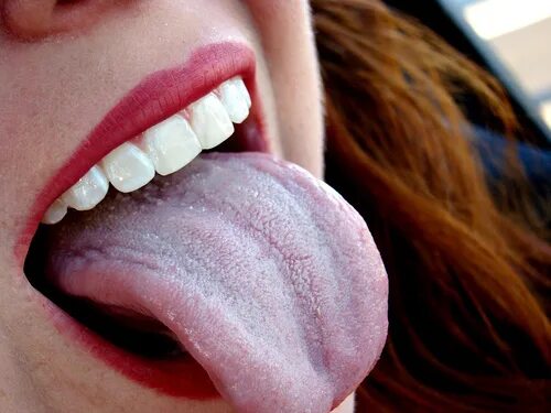 бело голубой язык