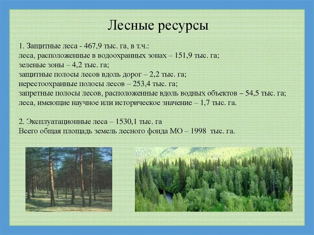 Какими лесными ресурсами богата россия. Лесные ресурсы. Леса и Лесные ресурсы. Защитные полосы лесов. Защитные леса эксплуатационные леса.