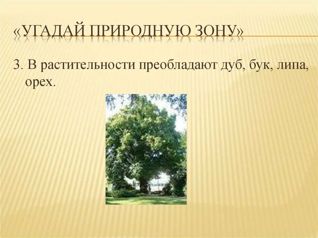 Бук какая природная зона. Дуб природная зона. Липа природная зона. В какой зоне растёт дуб. Природная зона растет дуб.