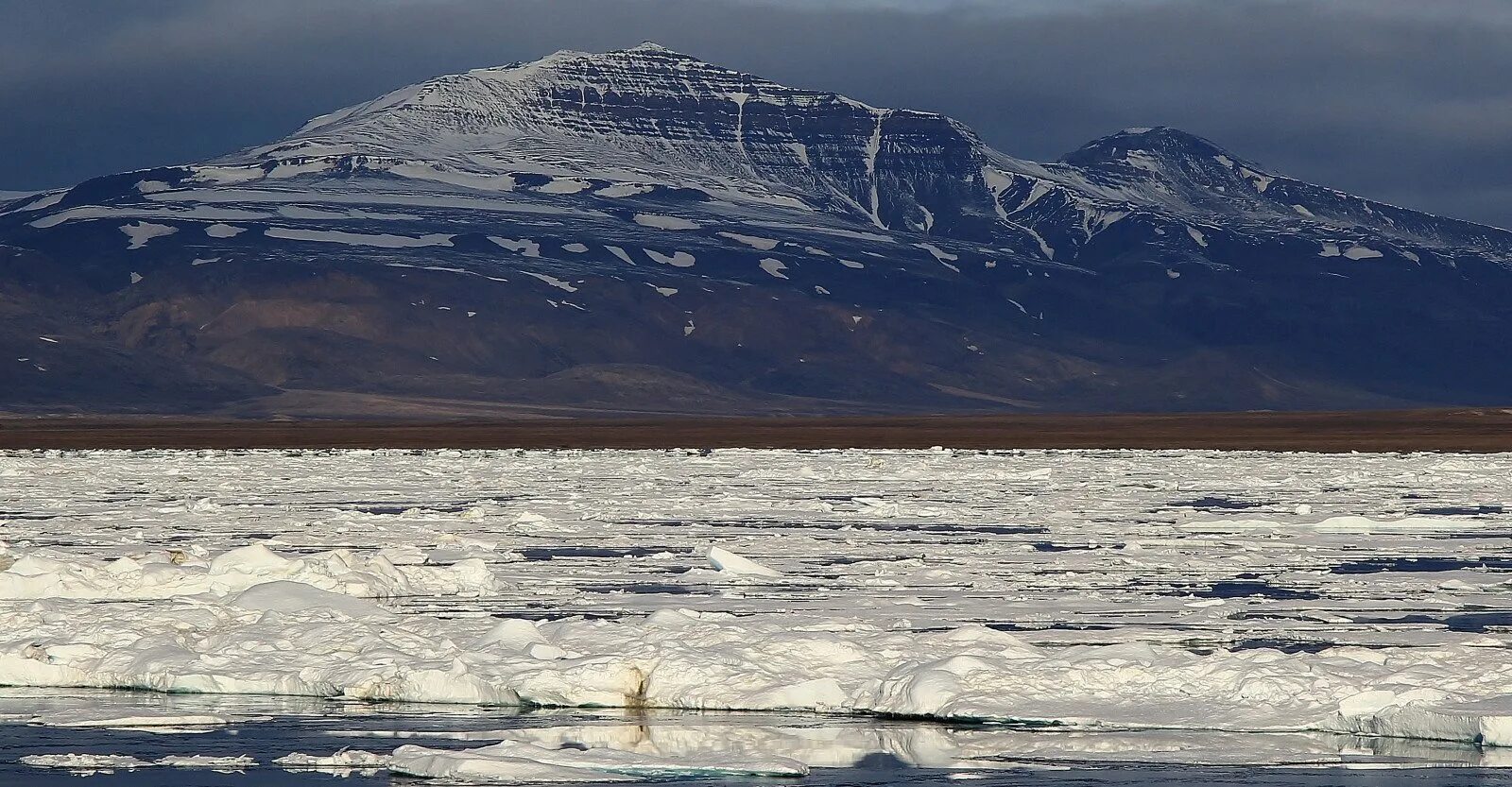 Арктическая зона северной америки. Арктические и субарктические пустыни. Арктика тундра Ледяная пустыня Гренландия. Арктическая пустыня Северной Америки. Арктическая леотундра.