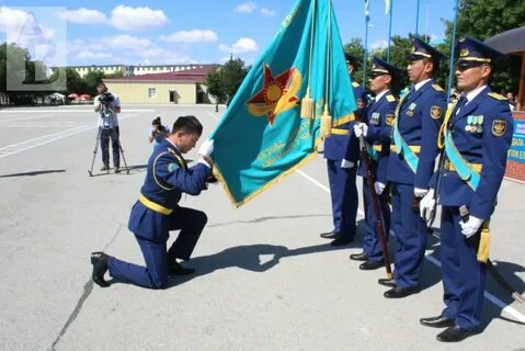 Висво