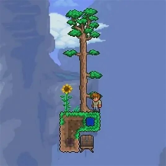4 5. 4. Terraria 1. Terraria 1. Террария 1.