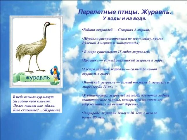 Стихи про перелетных птиц для детей