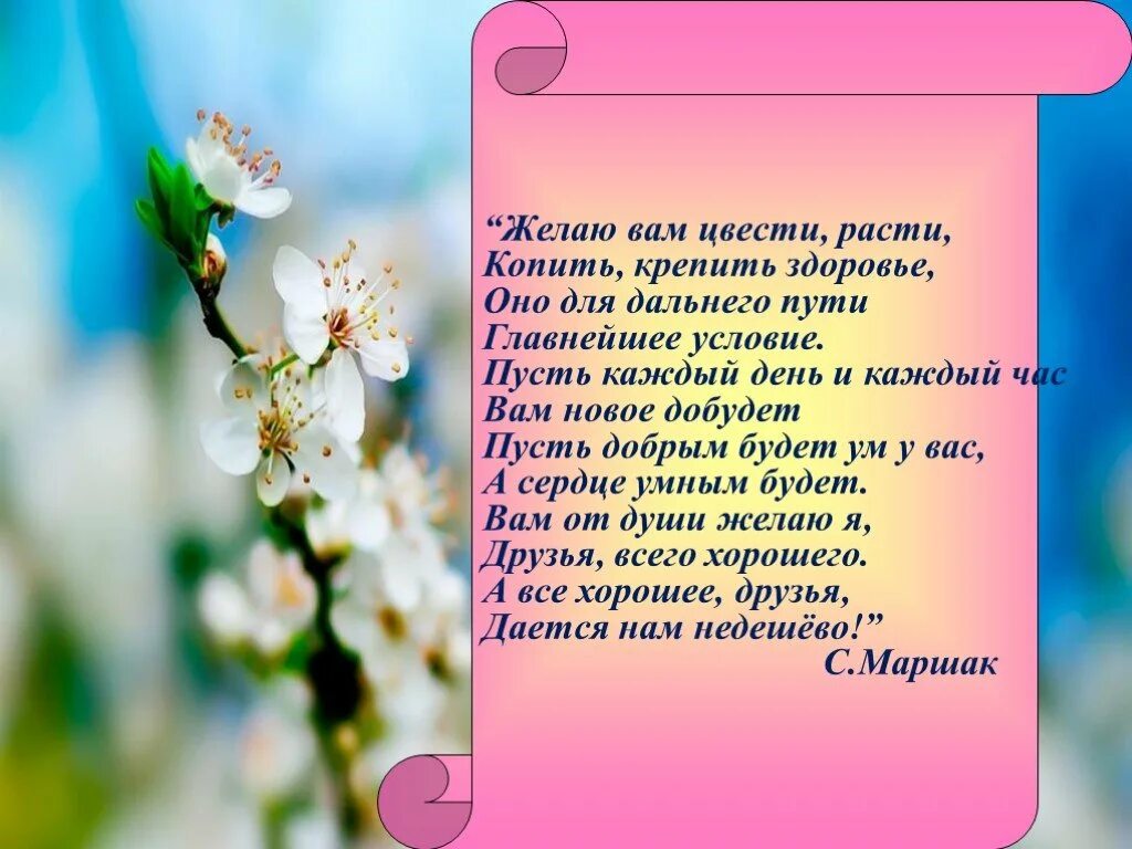 Расти и расцветай. Желаю вам цвести расти копить крепить здоровье оно. Желаю вам цвести расти стих. Желаю вам цвести расти маршак. Стих желаю вам цвести расти копить крепить здоровье.