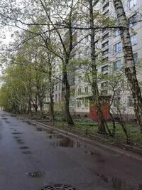 Квартиры метро дыбенко большевиков