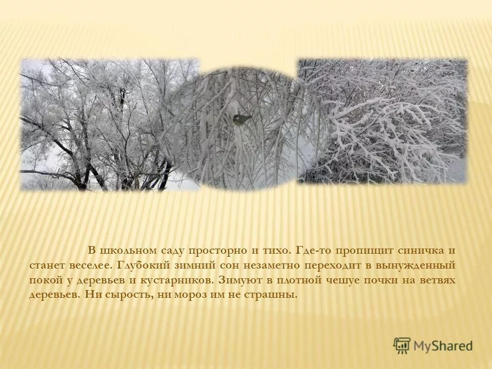 В саду было просторно и росли. В саду было тихо прохладно и темные тени лежали на земле. Особенности зимовки полукустарников 6 класс. Грядки в огороде. Синтаксический разбор предложения схема.