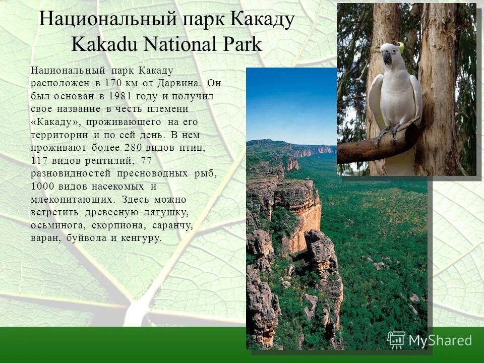 проект по английскому на тему национальные парки. национальный парк презентация на английском. национальные парки на английском языке. заповедник на английском языке. проект по английскому на тему национальные парки.