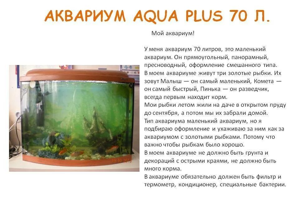 Сколько рыб на литр. Аквариум 70 литров. Содержимое аквариума для рыбок. Мой Тип аквариума. Описание аквариума.