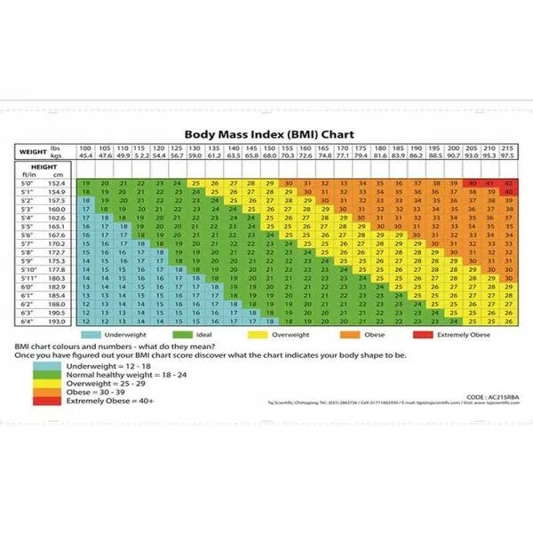 Индекс массы тела собаки. BMI Index Metric. Body Mass Index. Индекс массы тела кота. Body Mass Index calculator Design web.