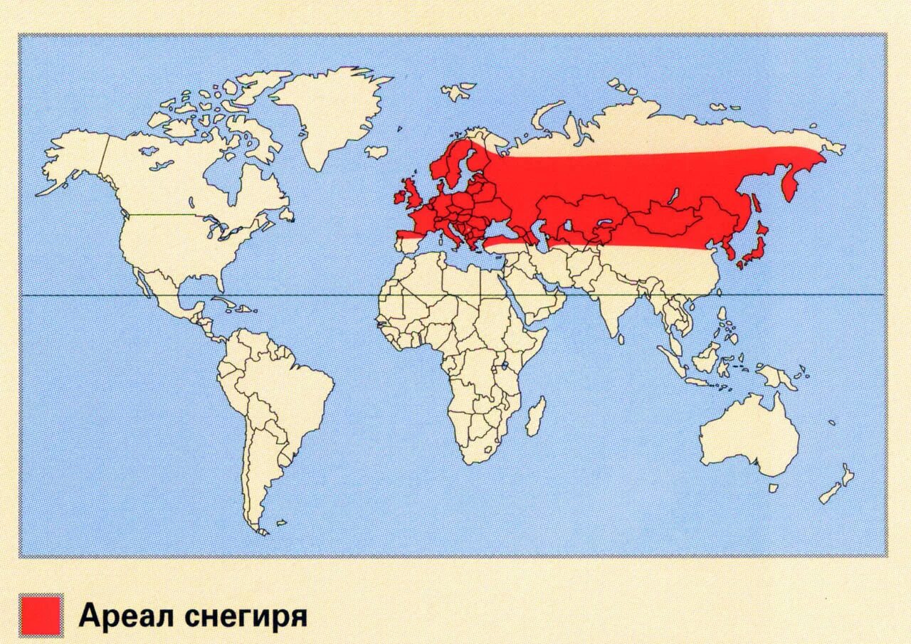 Черный дрозд ареал обитания. Снегирь ареал. Ареал обитания снегирей. Снигирь ореол обитания. Черная вдова ареал обитания.