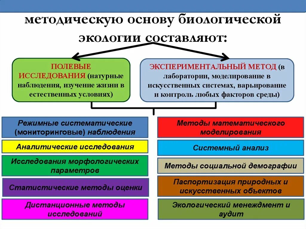 Экологическая методология. Методы исследования в экологии. Основы экологии. Методы современной экологии. Натурные исследования в экологии.