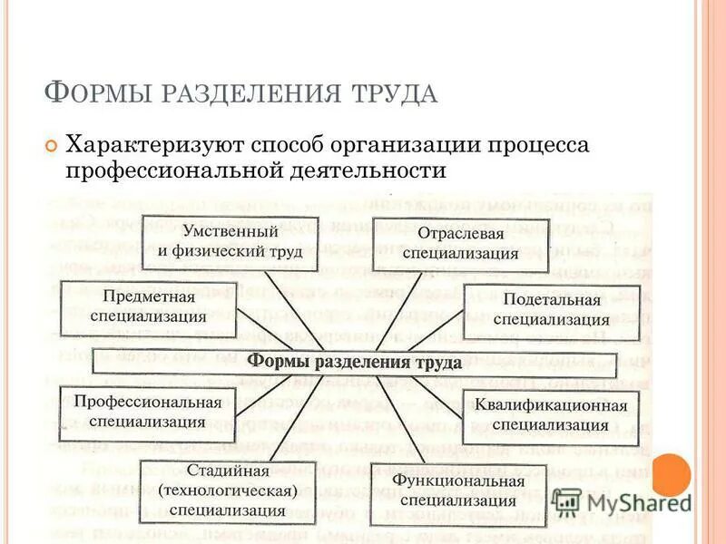 Специализация это в истории. Разделение труда и специализация схема. Формы профессионального разделения труда.. Специализация труда примеры. Специализация и Разделение труда в обществе.