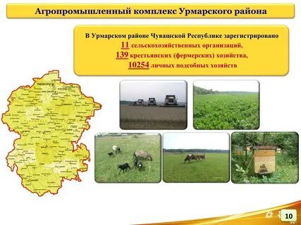 Сельскохозяйственные районы республики