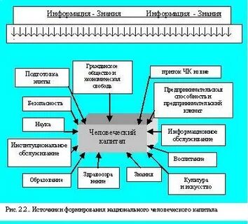 Управление экономикой знаний