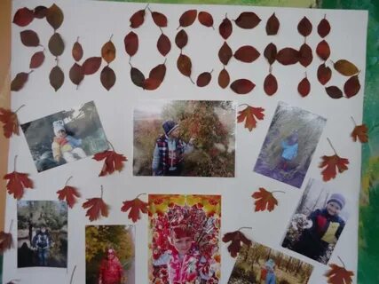 Коллаж старшая группа