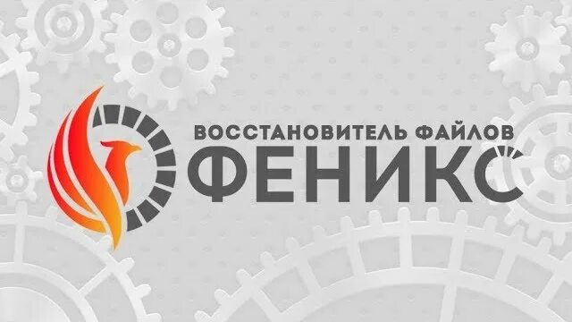 Phoenix software. Феникс программа. Феникс программа для восстановления файлов. Феникс восстановление. Феникс программа логотип.