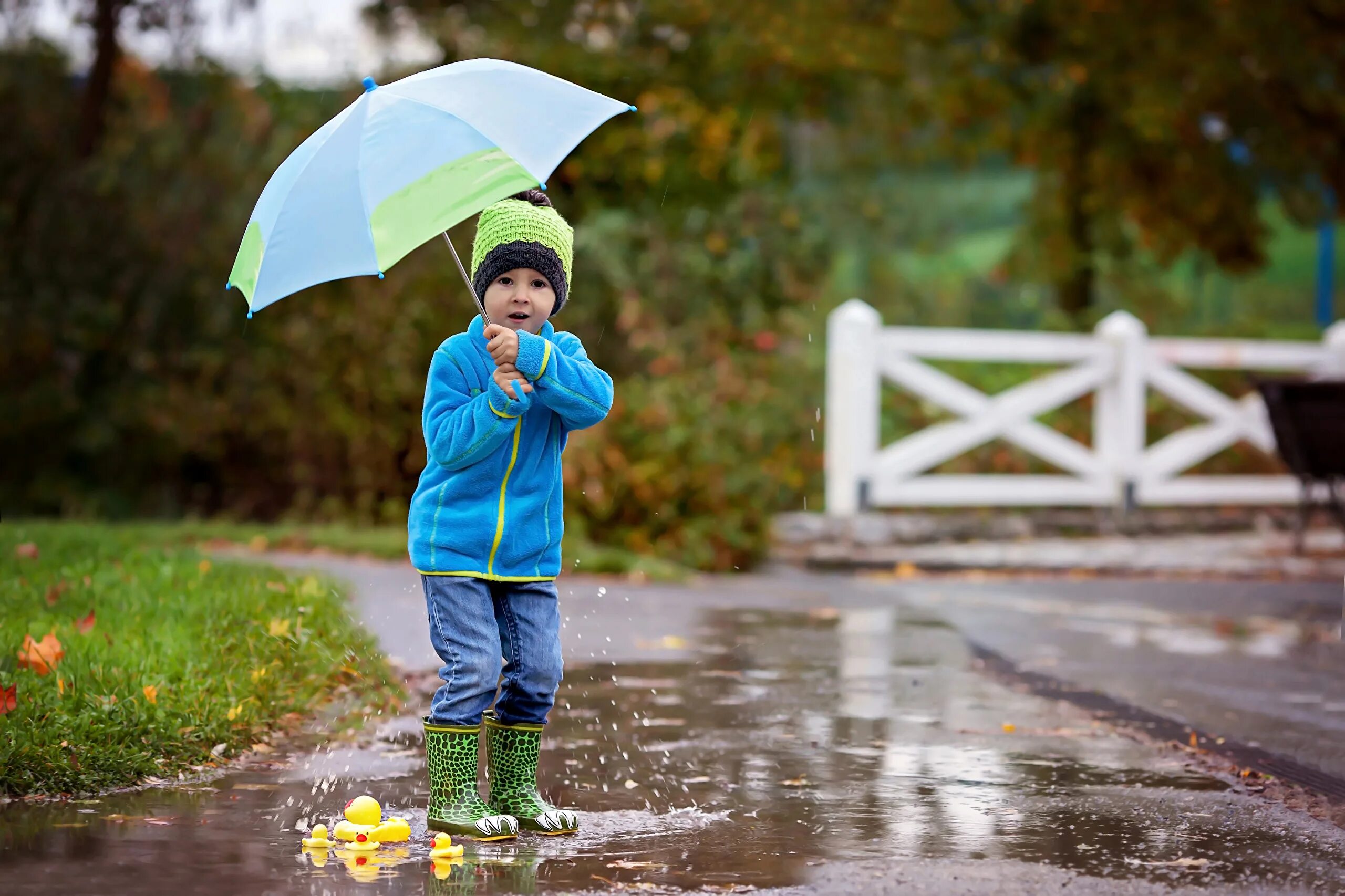 Birds children weather. Зонтик для детей. Мальчик с зонтиком. Дети под зонтом. Осень дети под дождем.