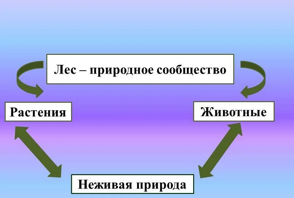 Связи с помощью моделей. Взаимосвязь живой и неживой природы. Цепочка живой и неживой природы. Связь живой и неживой природы 3 класс. Схема связи живой и неживой природы.