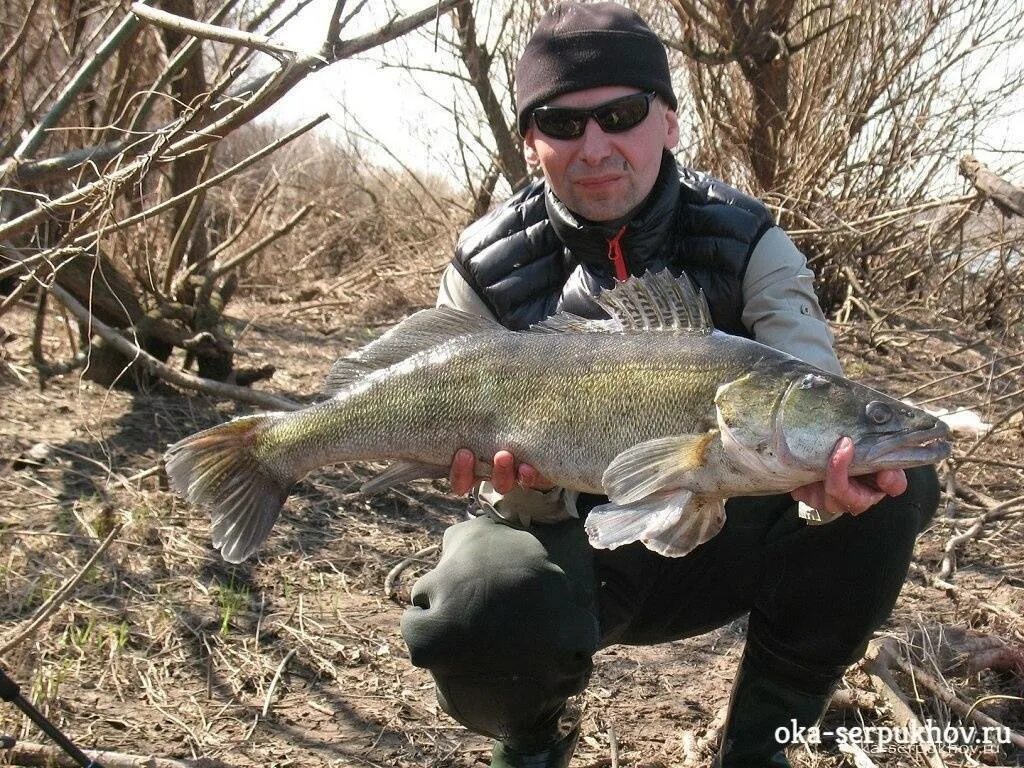 Река ока рыбалка. Озеро лютце платная рыбалка. Река ока рыбалка серпухов. Рыбалка в районе серпухова. Рыбалка на оке в серпуховском районе.