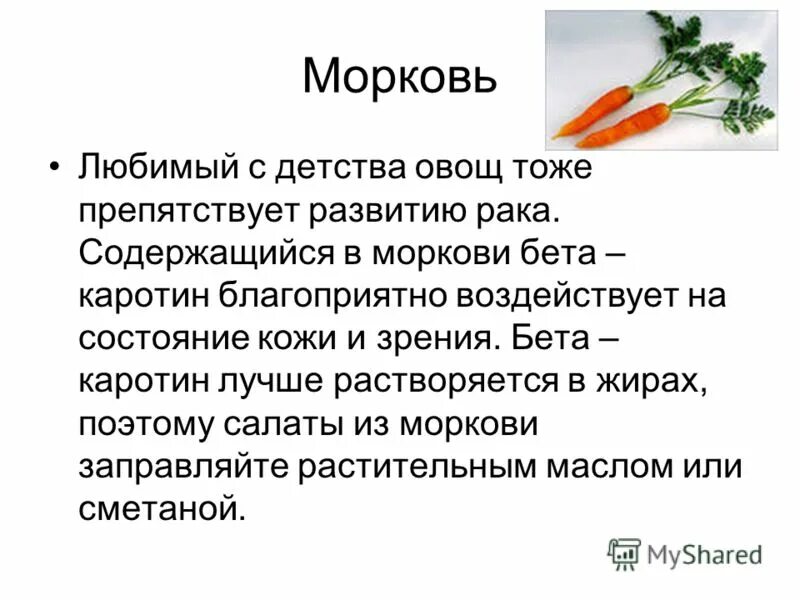 Любит ли морковь. Сообщение про морковь. Рассказ про морковь. Информация о морковке. Сообщение о морковке.