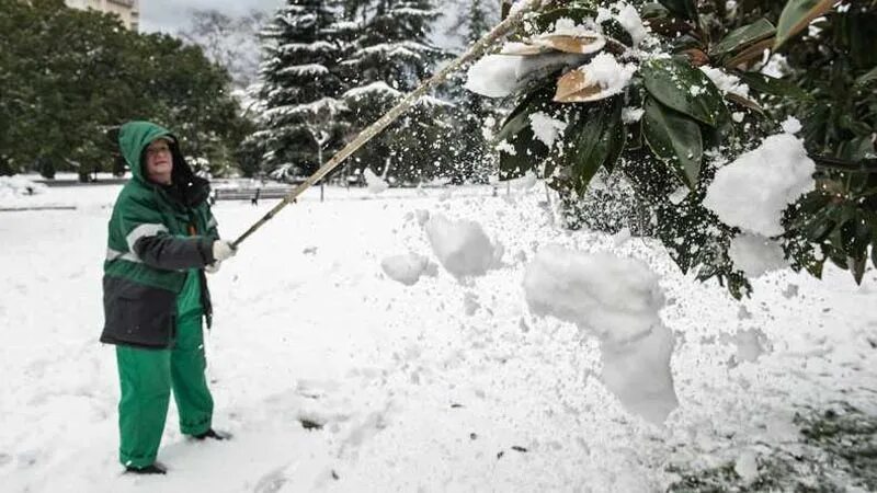 обрезка деревьев зимой. огород зимой. уборка снега. огород зимой. зимняя дача.