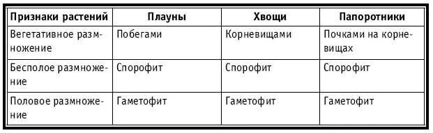 Сравнение папоротников хвощей и плаунов таблица. Таблица плауны хвощи папоротники 7 класс биология. Таблица по биологии 7 класс плауны хвощи папоротники. Сравнение плауны хвощи и папоротники таблица. Признаки различий между плаунами и хвощами