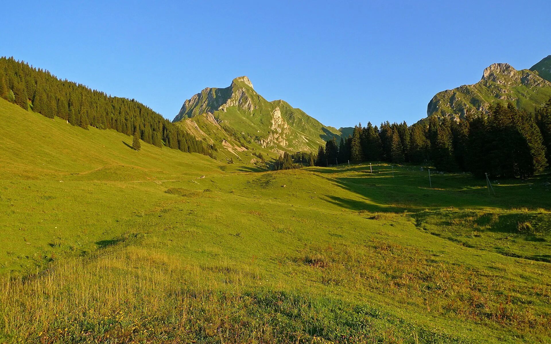 Плато Лаго-Наки Альпийские Луга. Гора пригорок горный гористый. Плато Лаго-Наки Адыгея осень. Природный парк Гантриш, Швейцария, луг.