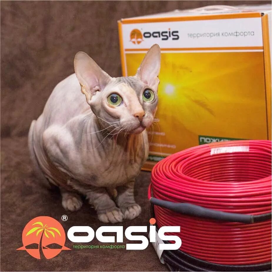 Ско альфа проджект. Ооо бриз инженерные решения. Ооо бриз волгоград. Альфа медиа логотип. Шкаф управления шуэо.