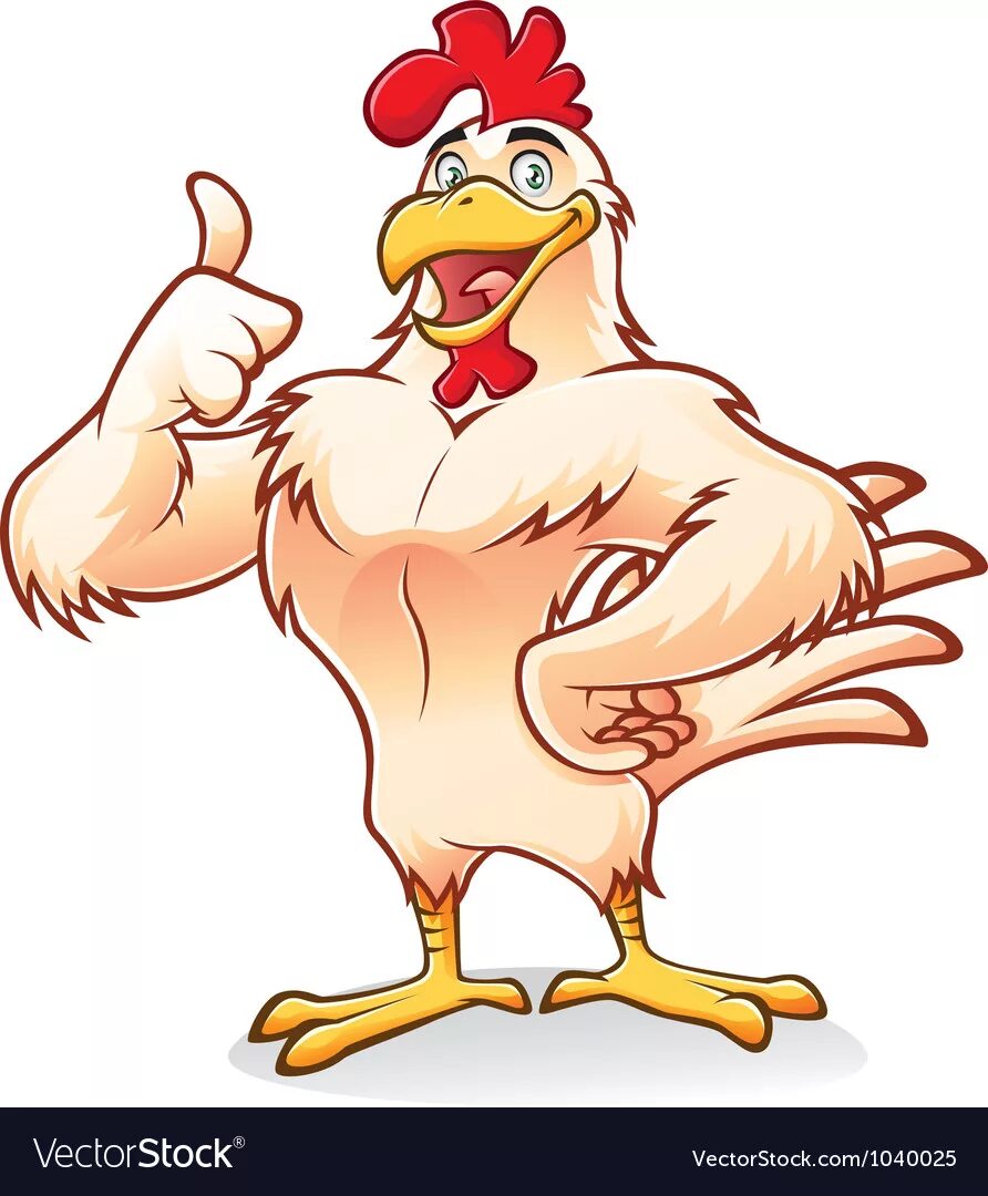 петух рисунок. петух. веселая курица. петух рисунок. тьяго хойзель.
