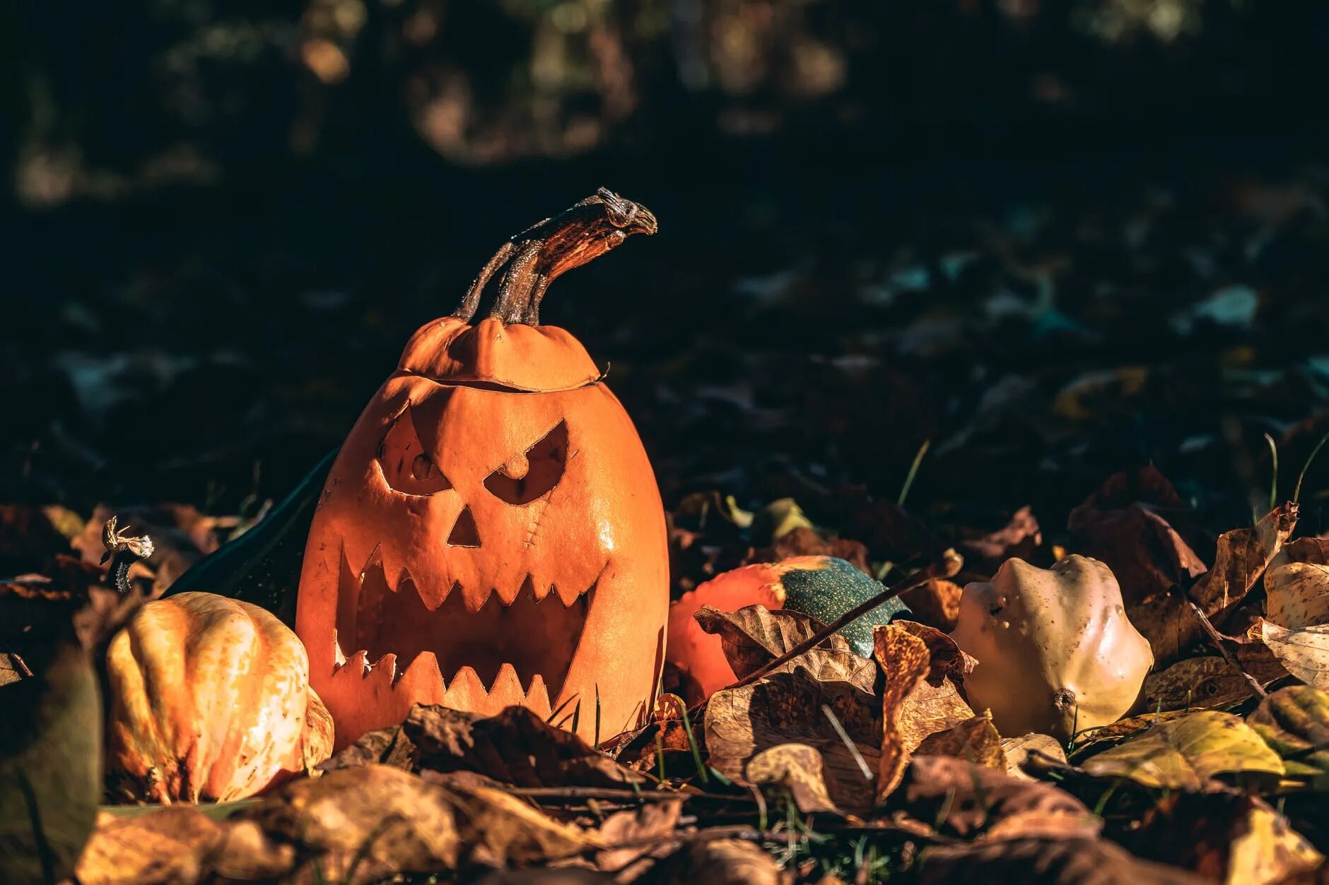 Helloween истории