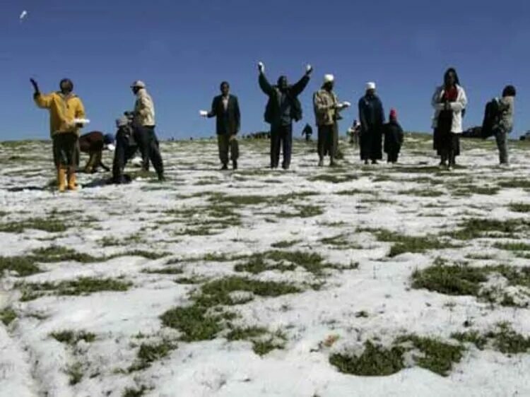 Снег в африке 2021. Зима в южной африке. Зима в африке. Зима в юар. Пустыни калахари в африке.