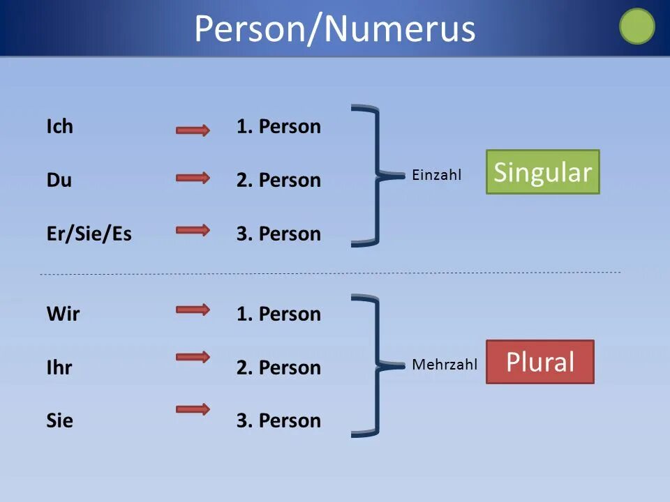 1 person singular. Numerus. Numerus латынь. Person plural. 2 Person singular немецкий.